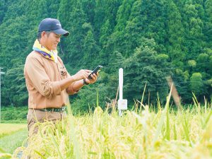 ITセンサー活用で目指す「有機米とコウノトリが育つ」農地づくり