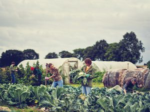 「農商工連携」って何？ 地域農業を活性化させるポイントとは