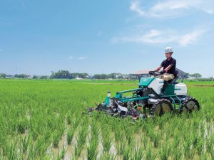 農家の声から生まれた！ 稲を傷めない水田除草機