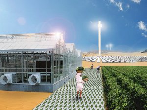 太陽熱を使った施設園芸!? 蓄熱もできるオフグリッド型栽培システム