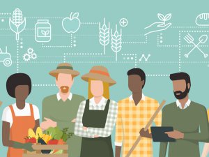 【知って得する】若手農家必見！ 農家が知るべき3つの「生産性」とは？