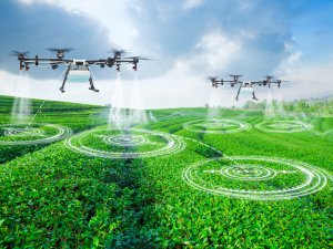 ピンポイント農薬散布テクノロジーとは？ 農薬50％〜100％減に成功！