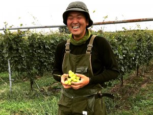 カッコよすぎる「果樹農家用エプロン」新潟市の農園とコラボ開発