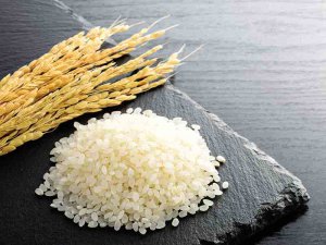 美味しさだけでは売れない!? 差別化につながる「ブランド米戦略」とは