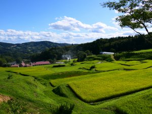 儲かるだけじゃ続かない!? 農家が目指すべき「里山資本主義」とは