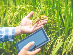 井関農機が生育管理・診断ツールを取り扱い開始！スマート農業化に貢献