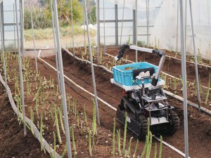自動収穫が可能になる日は近い!?　最新ロボットで叶える農作業イノベーション！