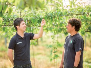会計ソフト導入は必須!?　阿部梨園が実践する事務作業効率化の方法とは？