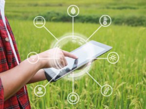 AIと画像解析でスマート農業化！ NTTデータが新たな試行サービスを開始