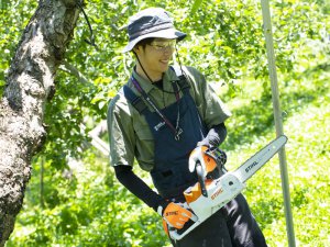 ＜体験レポート＞バッテリー式刈払機＆チェンソーは果樹園でも使える？