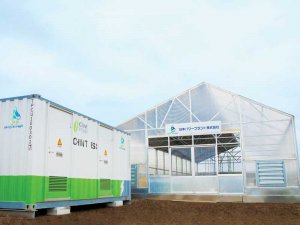 高い光熱費から開放される!? ハウス栽培なら「電気の自家消費」がおすすめ