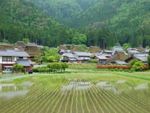 野菜が持っている力を最大限に引き出す！ “畑まるごと堆肥化農法”とは？
