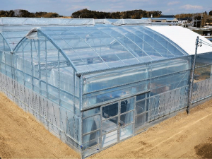 低コストなのに耐候性バッチリ！ 台風にも負けない新型ビニールハウスが登場
