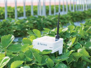 いちご農家の働き方を支える！　モニタリングシステム「いちごfarmo」って？