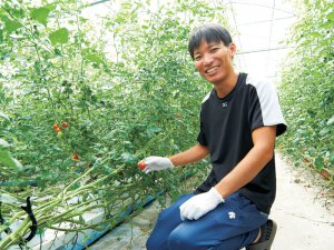 低コストかつ長期使用可能な低温CO2施用機とは？ 地域の人気トマトを「真呼吸」が支える