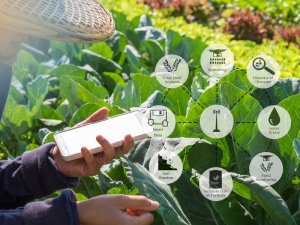 農業のSaaSシステム「AGRIOS生産性管理」にフリープラン登場！　無料で全機能が利用可能に