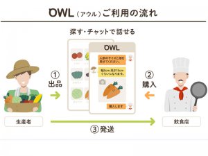 自治体に推薦された生産者限定⁉ 飲食店に直接販売できるWEBマーケット