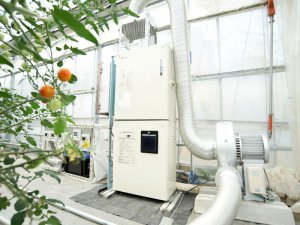 バラ・トマト・イチゴ農家が語る 低温CO2施用機『真呼吸』の実力とは