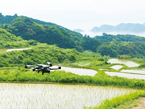 田んぼを“見える化”した「MIETA」の活用法とは？ 若手農家のプロジェクトに迫る