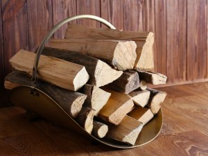 農閑期の今だから挑戦したい！ チェンソーを使った”薪づくり”