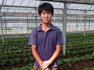 トマト農家からイチゴ農家へ転身！ 生産性向上のヒントをクラブ員から得る