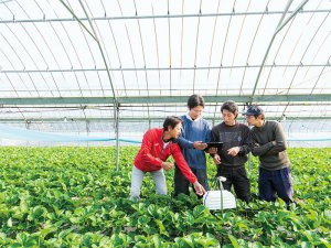 データ共有で地域農業の生産性向上へ！ ハウス内環境の測定・制御を低コストで実現した「e-minori」って？