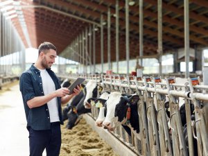 酪農大国北海道を支える飼料作り。AI技術が開発され、良質な牧草の生産が期待できる。