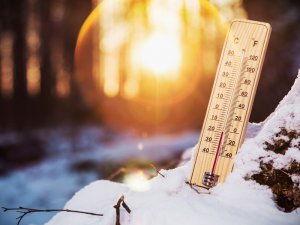 春先にも大活躍する農作業着！ 防寒・温熱の最強アイテムが勢揃い
