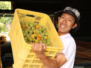 動画配信が現状を変える糸口に！ 和歌山県4Hクラブ会長が語る地域活性化への挑戦