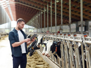 生産力は向上する？ 費用対効果は？ 専門家に聞くスマート畜産のメリットとトレンド技術
