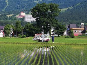 無農薬・減農薬でも規模拡大！ お米の高付加価値化を実現する若手農家のノウハウに迫る