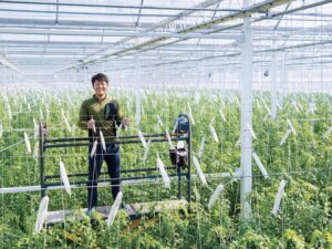 トマトのスペシャリストを育成する学校がある!? 高収量をあげる卒業生を輩出するアカデミーに潜入