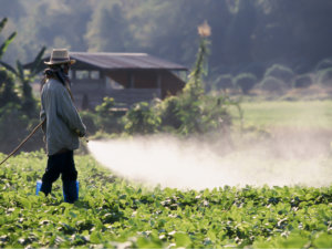 薬剤防除を成功させる3ポイントとは？ 農薬に強い病害虫を増やさない防除