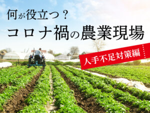 人材不足の解決はどうしてる？ コロナ禍の農業現場