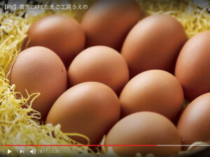 動画をPR戦略に活用しよう！ 疑似体験で魅力が伝わる農園や商品のこと