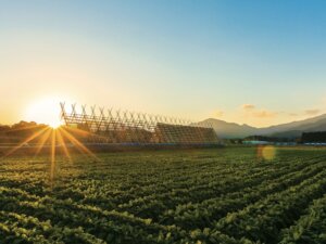 世界農業遺産・日本農業遺産に認定へ！ 世界的に重要な農林水産業を営む10地域