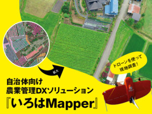作付調査の効率化！ 自治体向け農業管理DXソリューション『いろはMapper』とは
