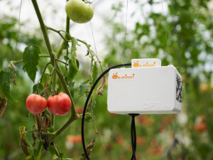電源を入れるだけで自動制御！ らくらく導入で収量アップが叶う環境制御システムとは