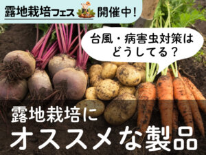 露地栽培のヒントがここに集結！ AGRI EXPO ONLINEにて特集スタート