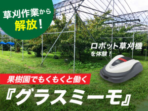 人が集う果樹園に！ 背景にもくもくと草刈りをする『グラスミーモ』の姿があった