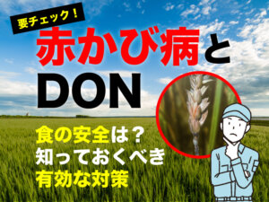 対策できていますか？ 2022年4月にDONの基準値が変わる小麦の「赤かび病」