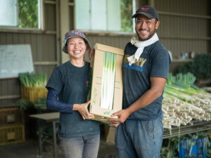 微生物が根に共生して生育を促進！ ネギ農家の強い味方「菌根菌」に注目