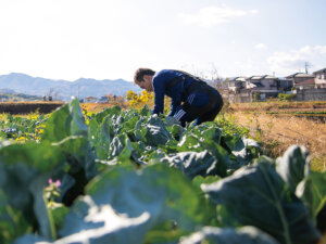 農作業の必需品に！ しっかりと腰を守って着脱簡単、優秀アシストギア