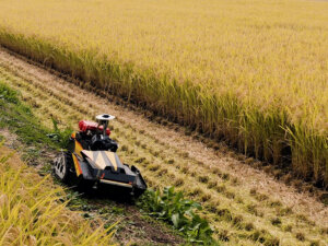 畦畔の草刈りはロボットにお任せ！長野県信濃町で実装実験
