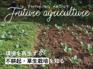 土壌を豊かにし、環境を再生する不耕起・草生栽培｜日本での現状と、普及への道筋とは？