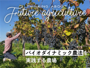 有機農業の普及を。環境を回復するバイオダイナミック農法を実践『トカプチ』の挑戦