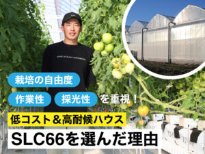 トマト一筋18年、トマトのプロが選んだ6×6ハウスの実力