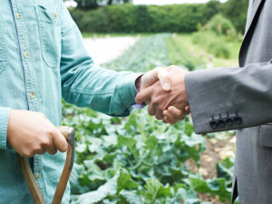 産業連携による農産物出荷・価格形成の新手法を考える―前編―