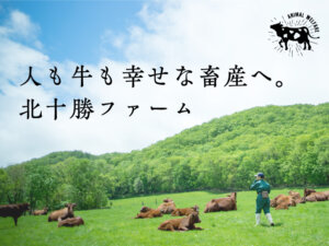 人も牛も幸せな畜産へ。 有機JAS 認証の短角牛を育てる 『北十勝ファーム』の挑戦