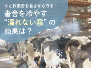 畜舎の暑熱対策に！ 濡れない霧＝ドライフォグシステム導入の効果を聞いた